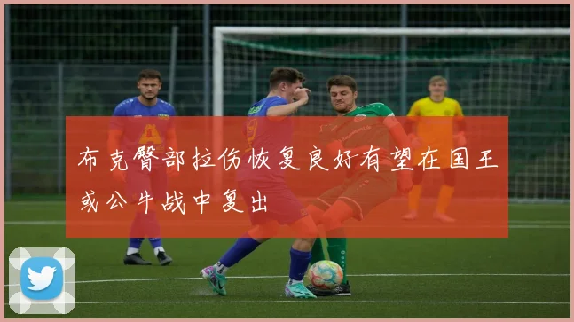 布克臀部拉伤恢复良好有望在国王或公牛战中复出