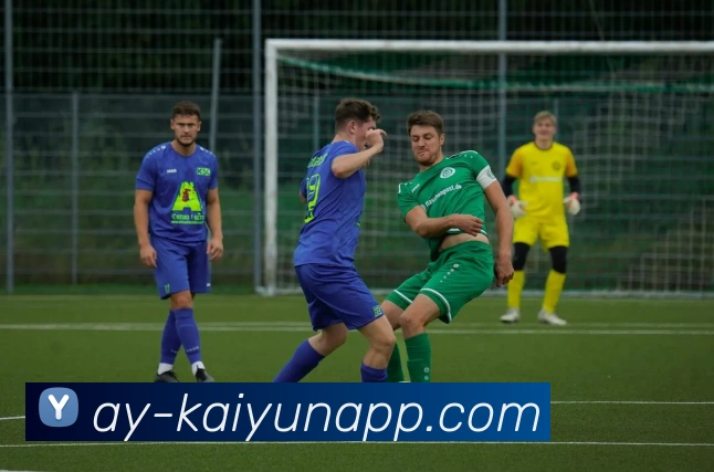 开云体育服务体系